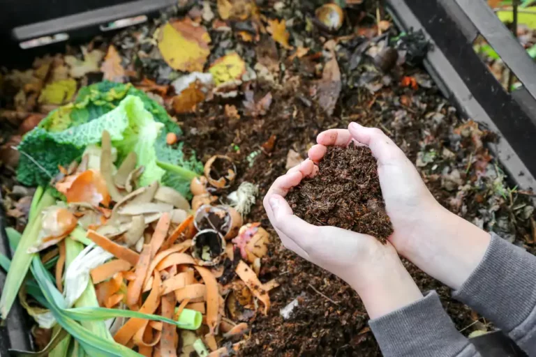Kompostování na zahradě: užitečné tipy a rady, jak na to