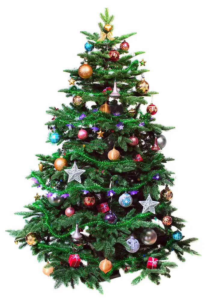Tipy a inspirace, jak ozdobit vánoční stromek 7 shutterstock 543222562